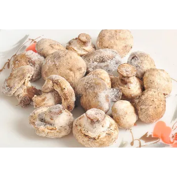 Frozen Mushrum (1)-5082865-47379.webp